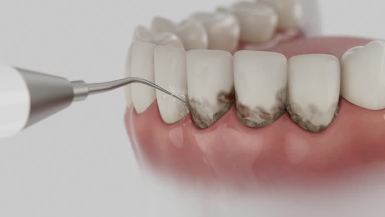 Reliable Dental contractor in Parkwood, WA by Dentist Open Now